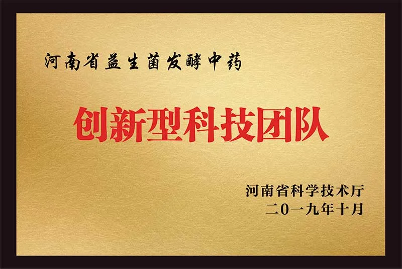 2019年河南省科学技术厅授予“创新型科技团队”